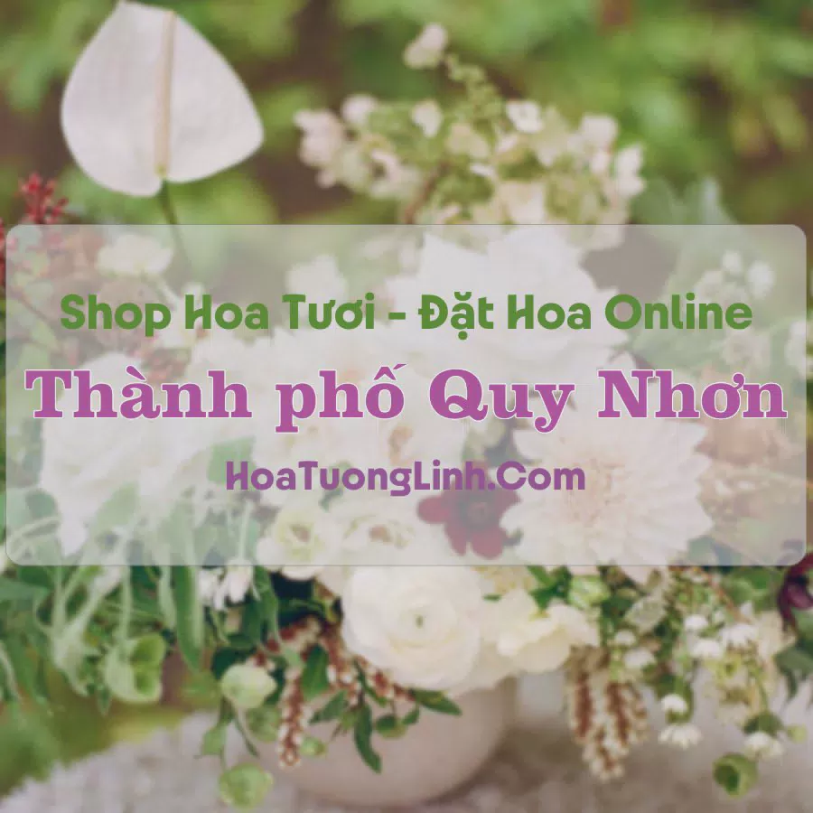 Shop Hoa Tươi Thành phố Quy Nhơn - Bình Định