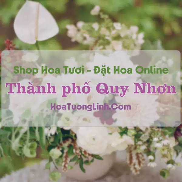 Shop Hoa Tươi Thành phố Quy Nhơn - Bình Định