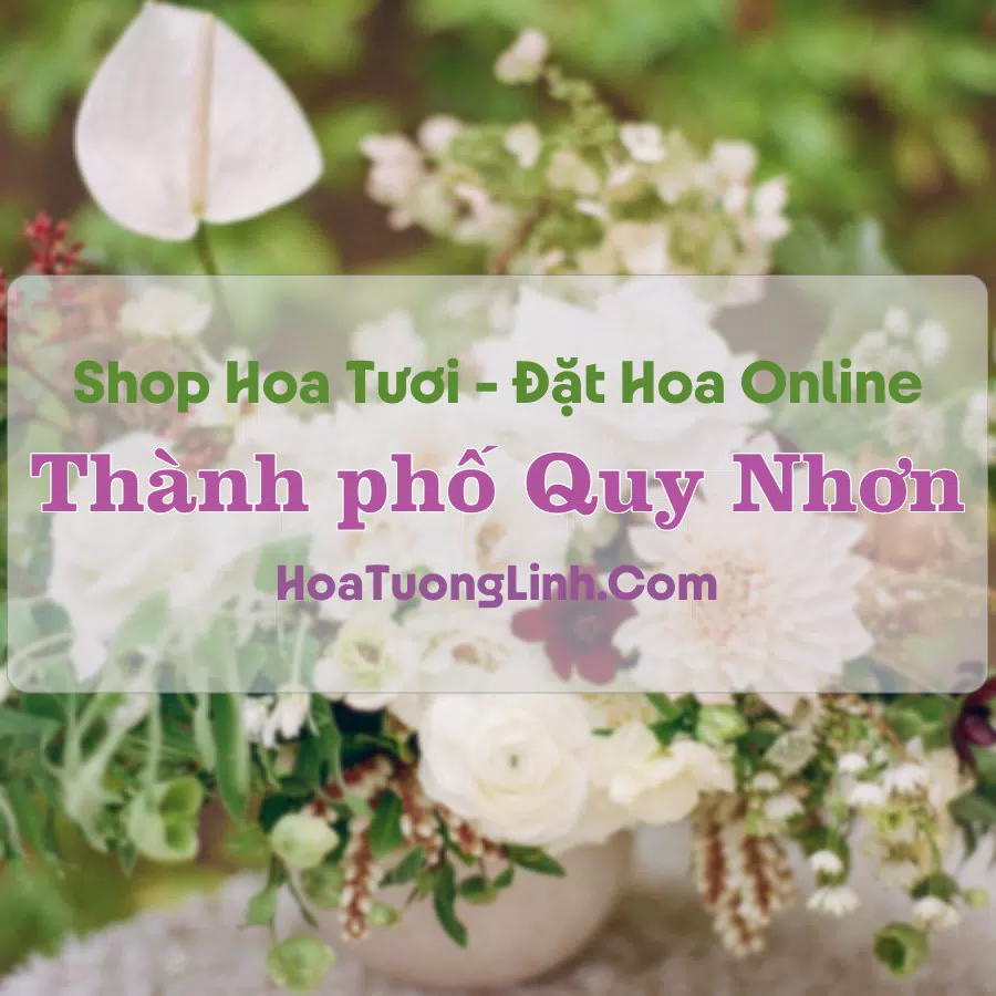 Shop Hoa Tươi Thành phố Quy Nhơn – Bình Định