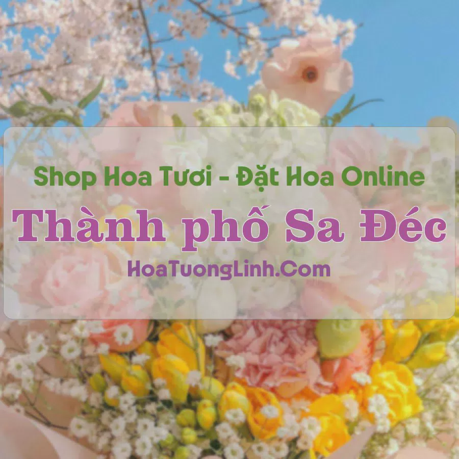 Shop Hoa Tươi Thành Phố Sa Đéc - Đồng Tháp