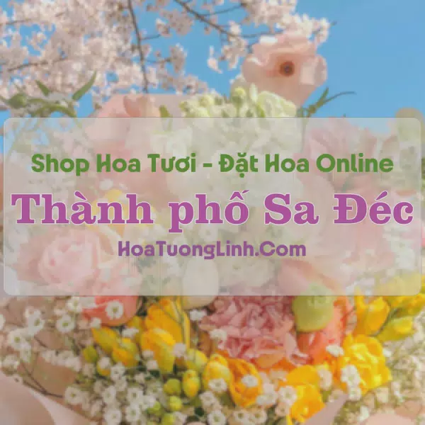 Shop Hoa Tươi Thành Phố Sa Đéc - Đồng Tháp