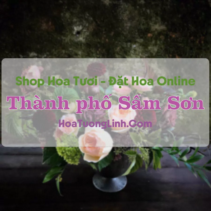 Shop Hoa Tươi Thành phố Sầm Sơn – Thanh Hóa