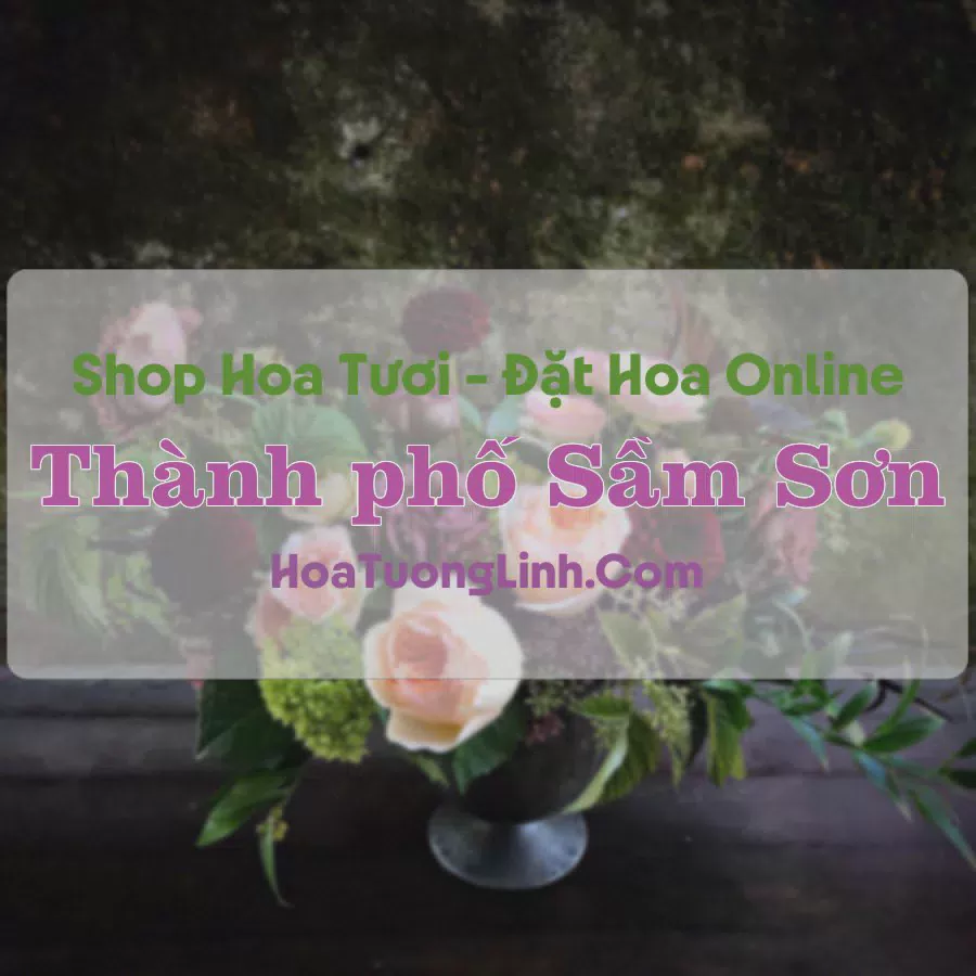 Shop Hoa Tươi Thành phố Sầm Sơn - Thanh Hóa