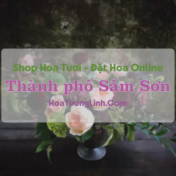 Shop Hoa Tươi Thành phố Sầm Sơn - Thanh Hóa