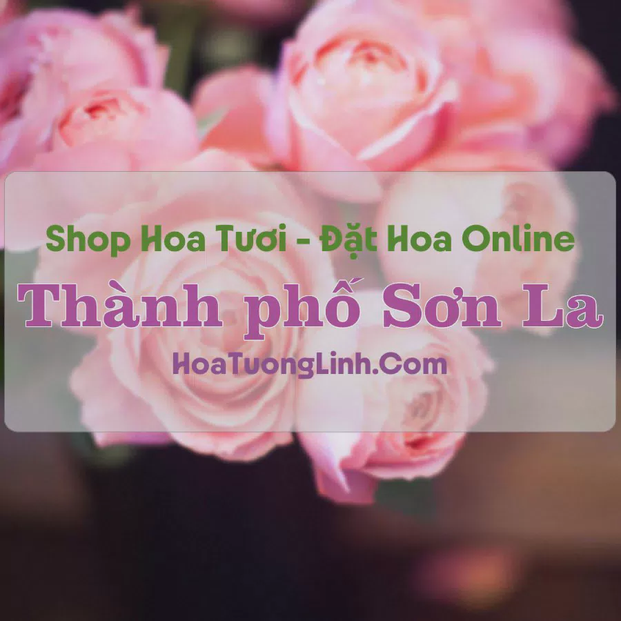 Shop Hoa Tươi Thành Phố Sơn La - Sơn La