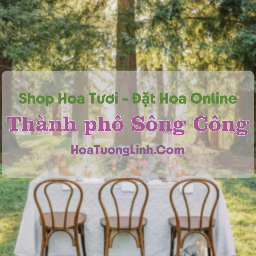 Shop Hoa Tươi TP Sông Công - Thái Nguyên