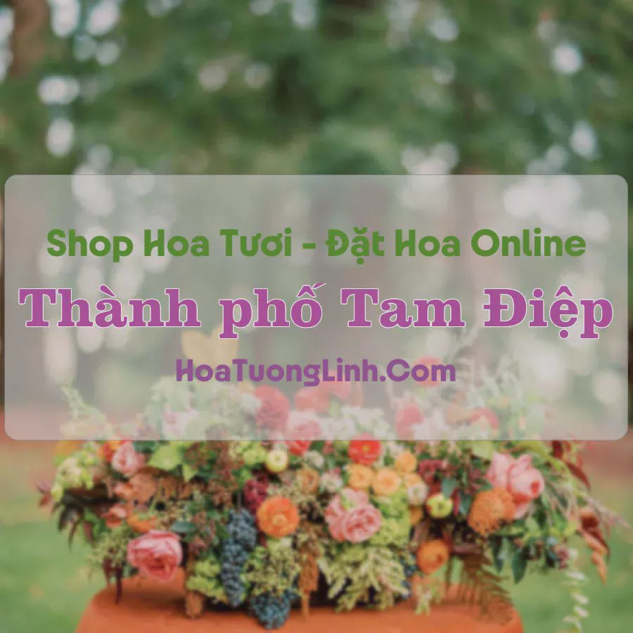 Shop Hoa Tươi Thành phố Tam Điệp - Ninh Bình