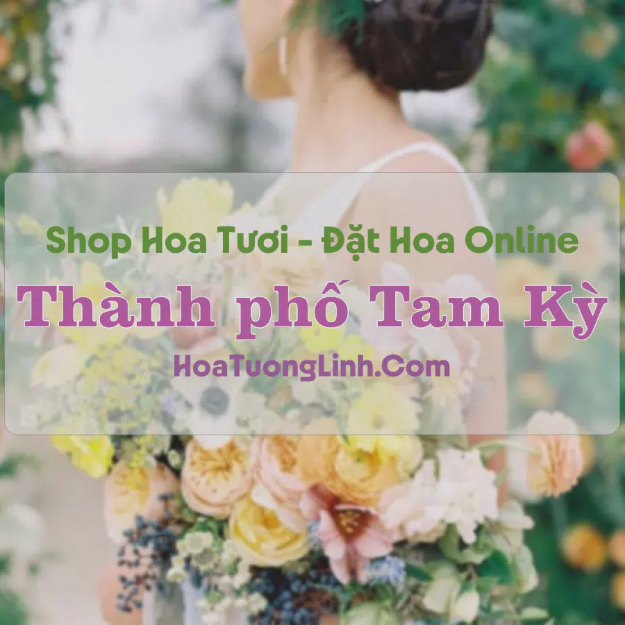 Shop Hoa Tươi Thành phố Tam Kỳ - Quảng Nam