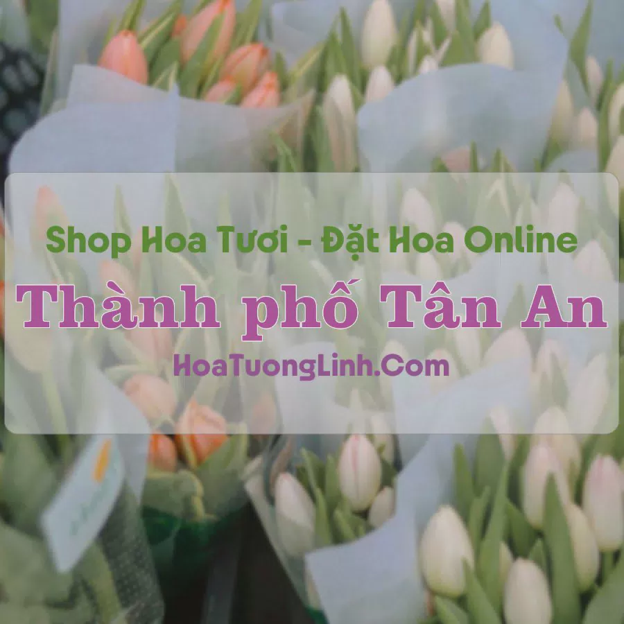 Shop Hoa Tươi Thành phố Tân An - Long An