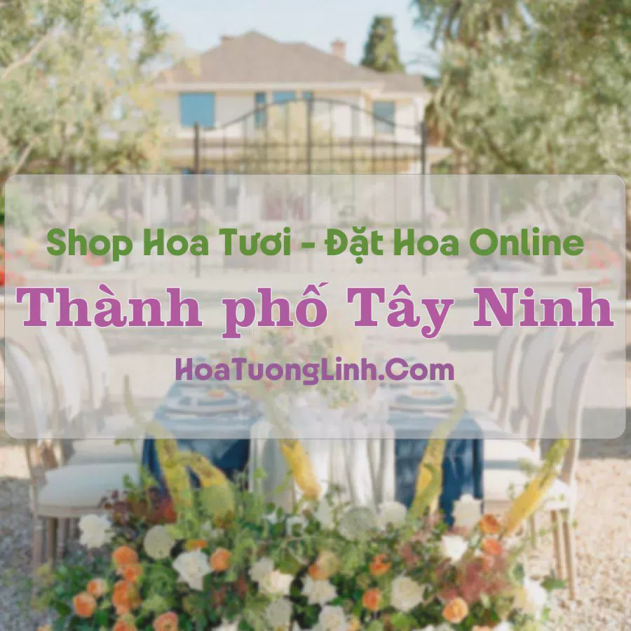 Shop Hoa Tươi Thành Phố Tây Ninh
