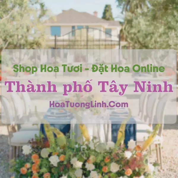 Shop Hoa Tươi Thành Phố Tây Ninh
