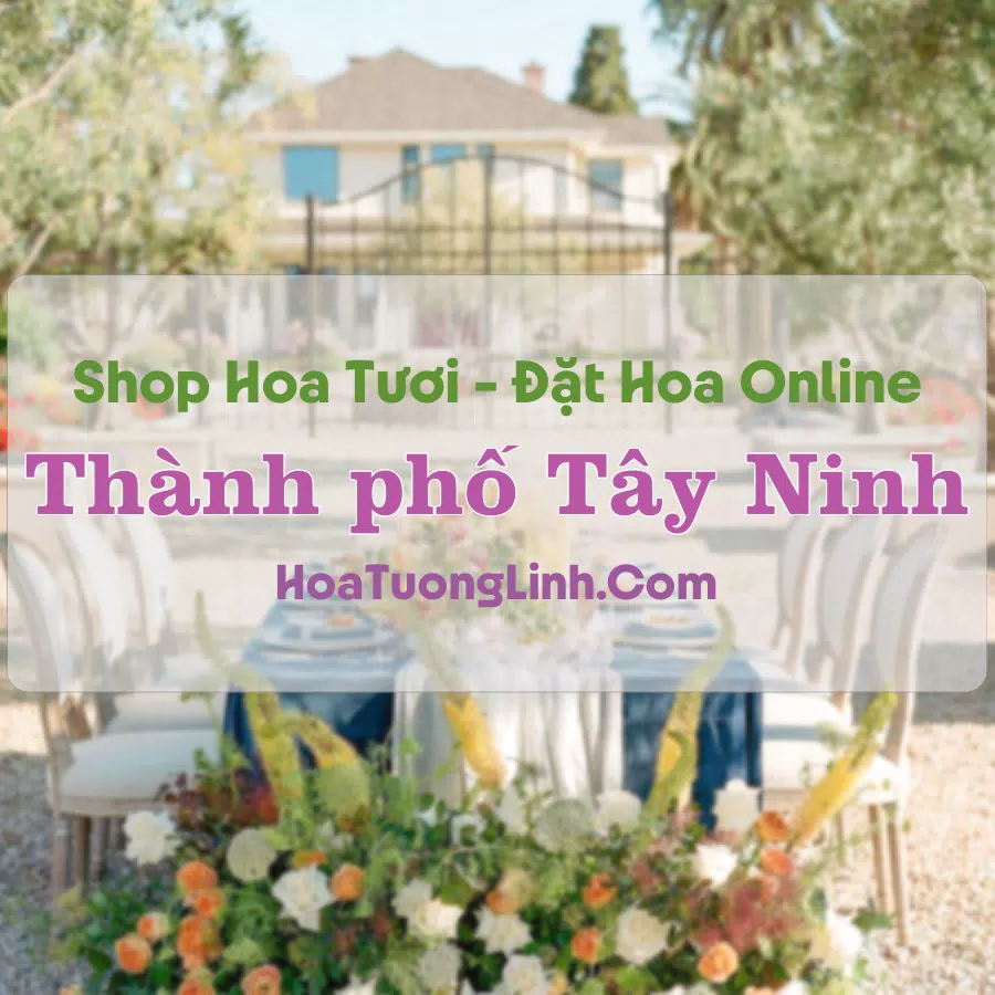 Shop Hoa Tươi Thành Phố Tây Ninh