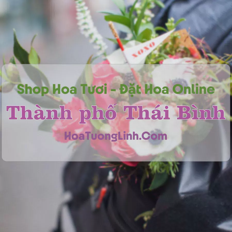 Shop Hoa Tươi Thành phố Thái Bình - Thái Bình