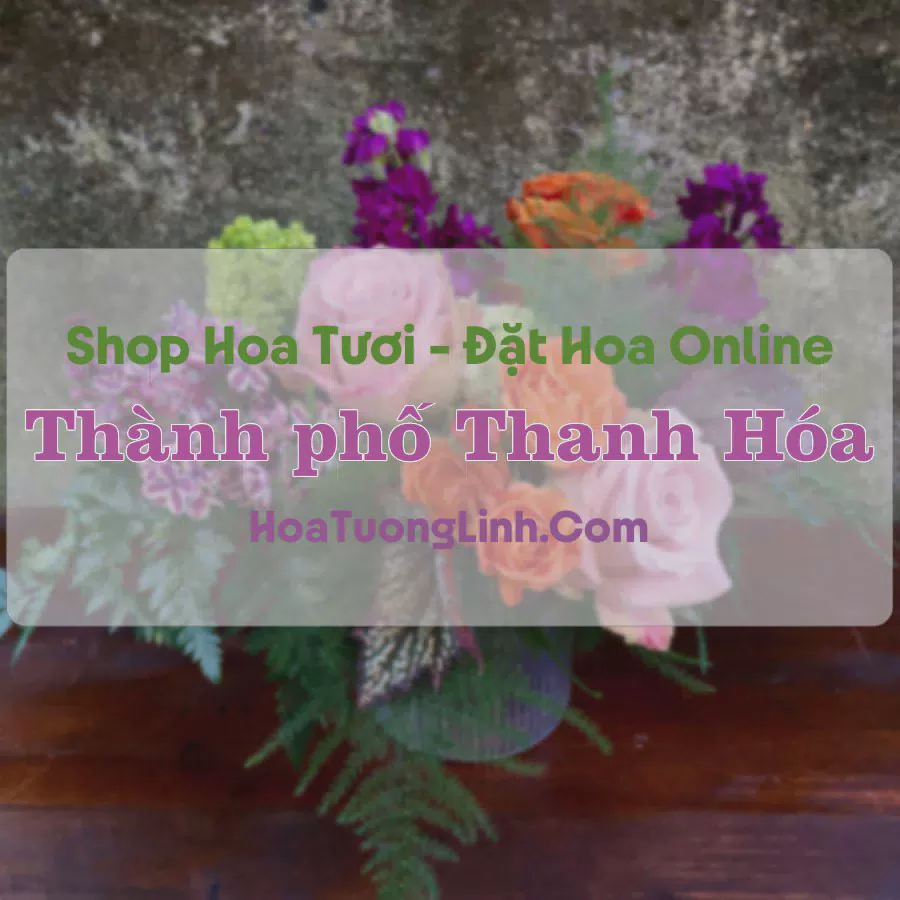 Shop Hoa Tươi Thành phố Thanh Hóa - Thanh Hóa