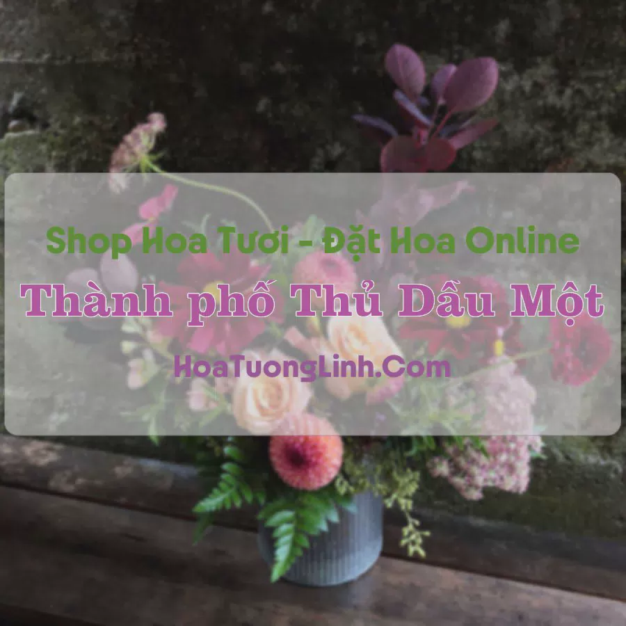 Shop Hoa Tươi Thành Phố Thủ Dầu Một - Bình Dương