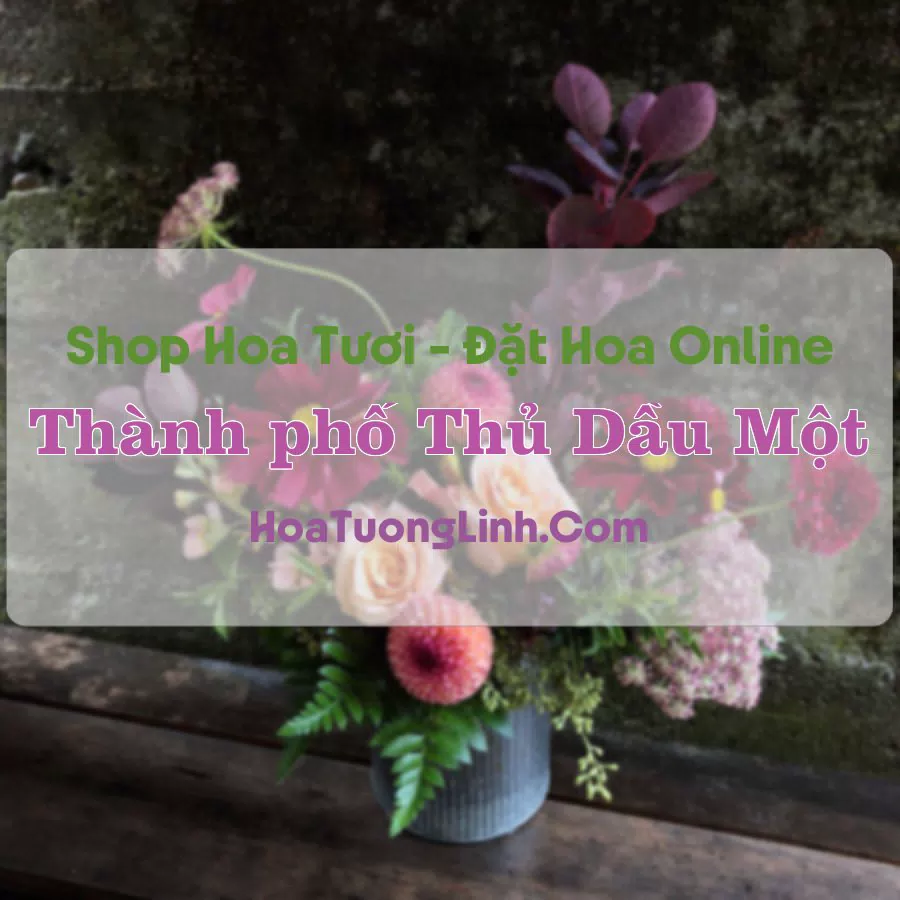 Shop Hoa Tươi Thành Phố Thủ Dầu Một – Bình Dương