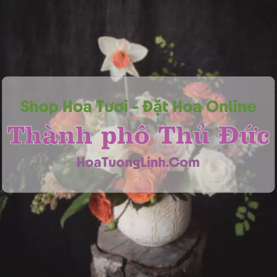 Shop Hoa Tươi Thành phố Thủ Đức - TP.HCM
