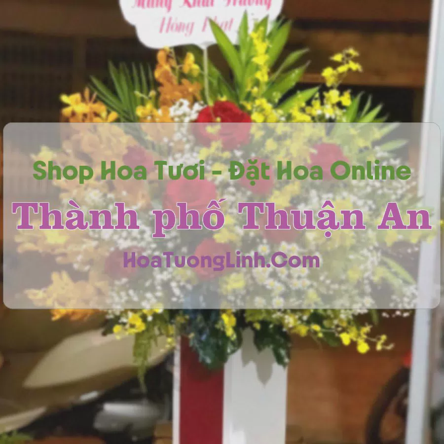 Shop Hoa Tươi TP Thuận An - Bình Dương