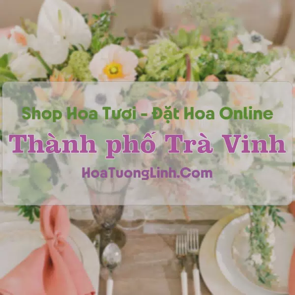 Shop Hoa Tươi Thành Phố Trà Vinh - Trà Vinh
