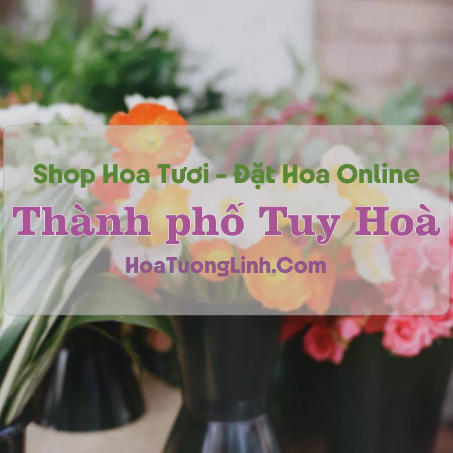 Shop Hoa Tươi Thành phố Tuy Hoà - Phú Yên