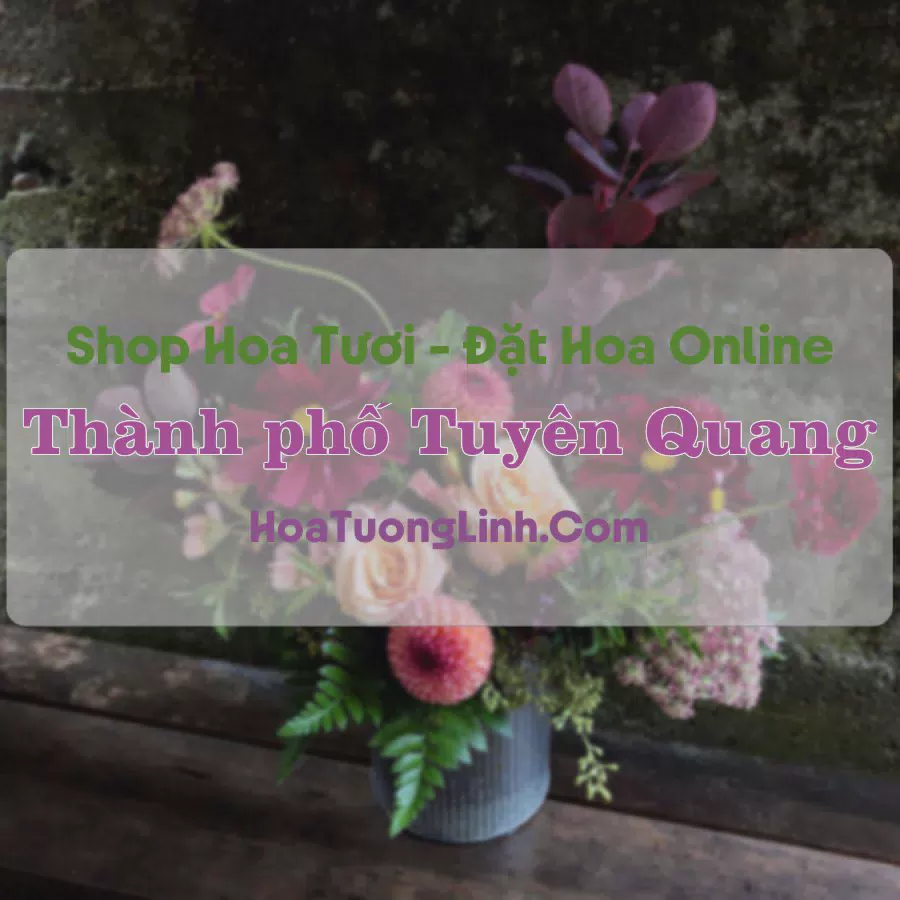 Shop Hoa Tươi Thành phố Tuyên Quang - Tuyên Quang