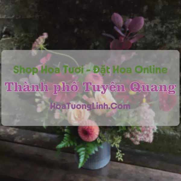 Shop Hoa Tươi Thành phố Tuyên Quang - Tuyên Quang