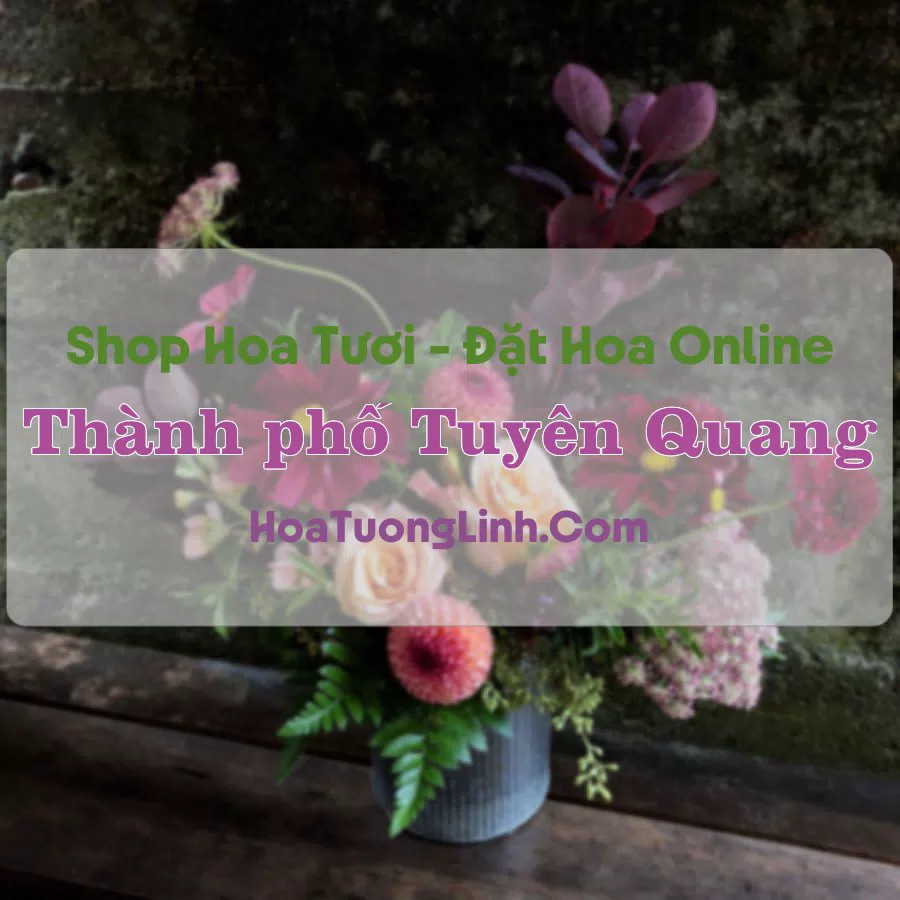 Shop Hoa Tươi Thành phố Tuyên Quang – Tuyên Quang