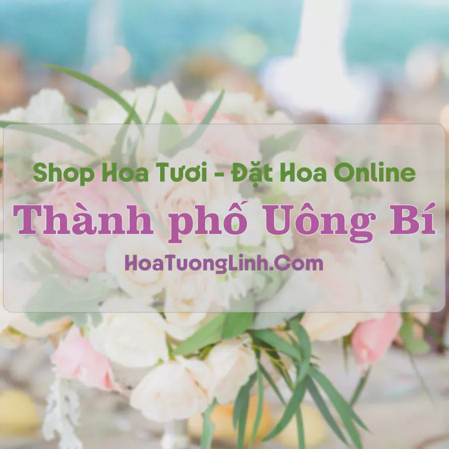 Shop Hoa Tươi Thành phố Uông Bí - Quảng Ninh