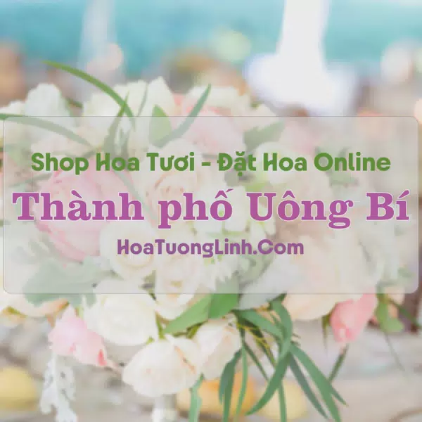 Shop Hoa Tươi Thành phố Uông Bí - Quảng Ninh