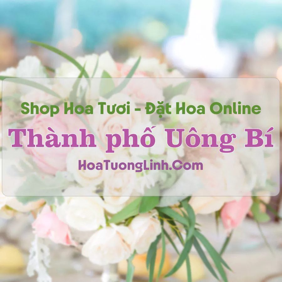 Shop Hoa Tươi Thành phố Uông Bí – Quảng Ninh
