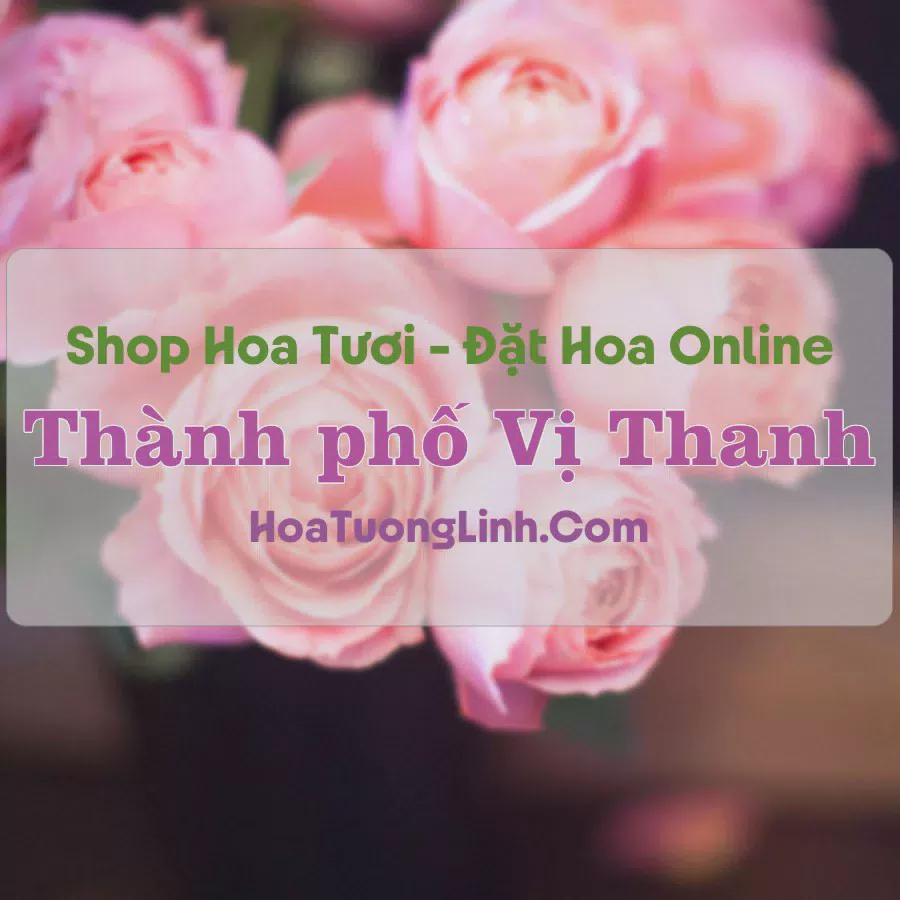 Shop Hoa Tươi Thành Phố Vị Thanh - Hậu Giang