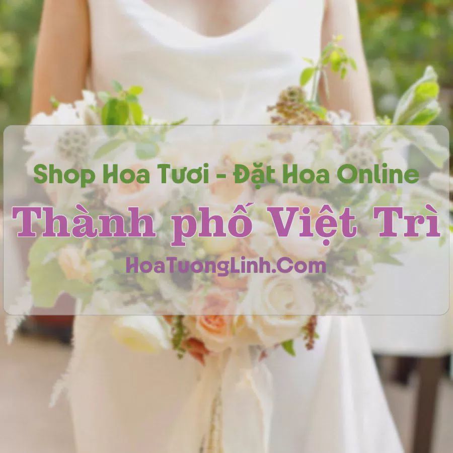 Shop Hoa Tươi Thành Phố Việt Trì - Phú Thọ