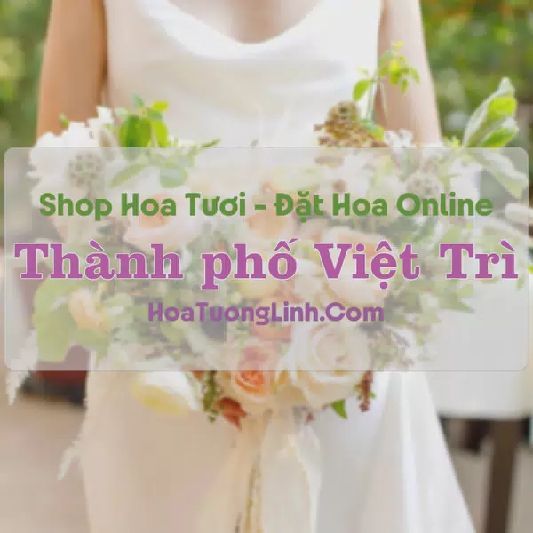 Shop Hoa Tươi Thành Phố Việt Trì - Phú Thọ