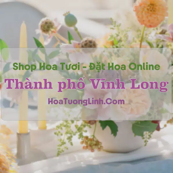 Shop Hoa Tươi Thành Phố Vĩnh Long - Vĩnh Long