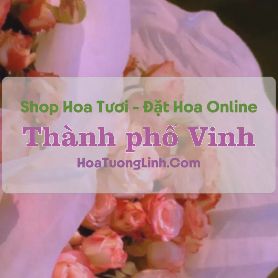 Shop Hoa Tươi Thành phố Vinh - Nghệ An