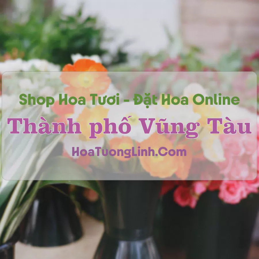 Shop Hoa Tươi TP Vũng Tàu - Bà Rịa Vũng Tàu