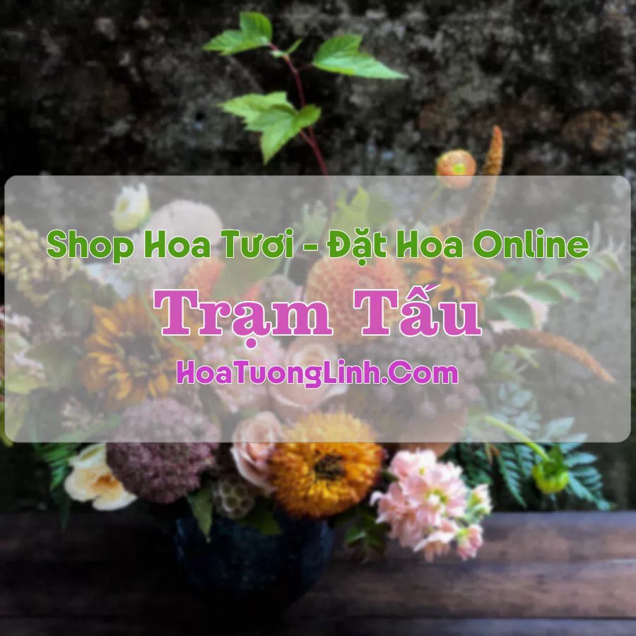 Shop Hoa Tươi Thị Trấn Trạm Tấu – Yên Bái