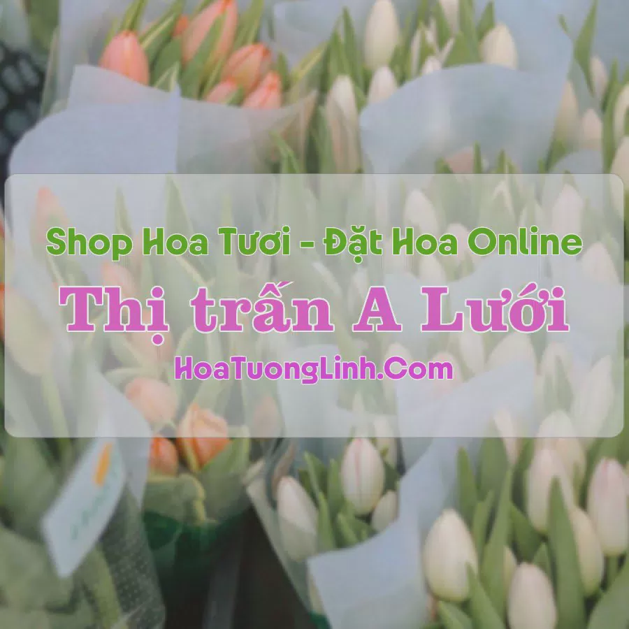 Shop Hoa Tươi Thị trấn A Lưới - Huế