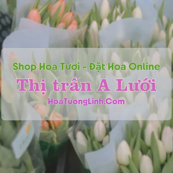 Shop Hoa Tươi Thị trấn A Lưới - Huế