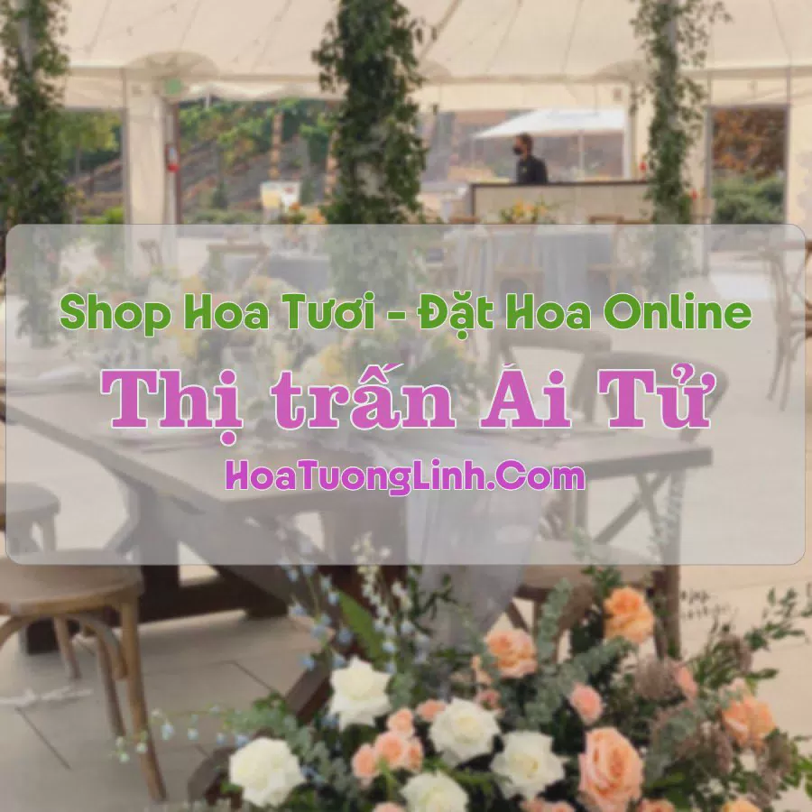 Shop Hoa Tươi Thị trấn Ái Tử - Quảng Trị