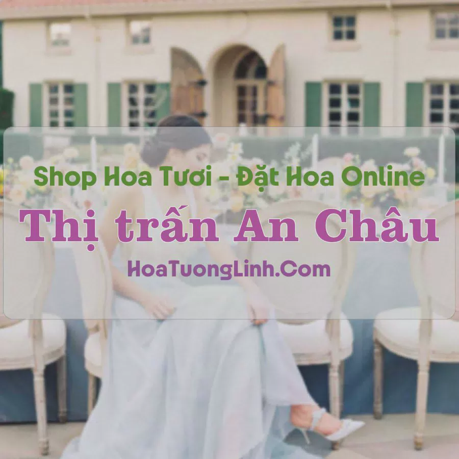 Shop Hoa Tươi Thị trấn An Châu - An Giang