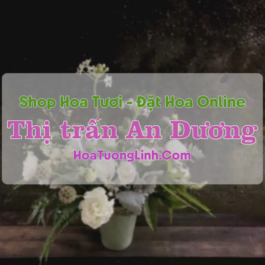 Shop Hoa Tươi Thị Trấn An Dương - Hải Phòng