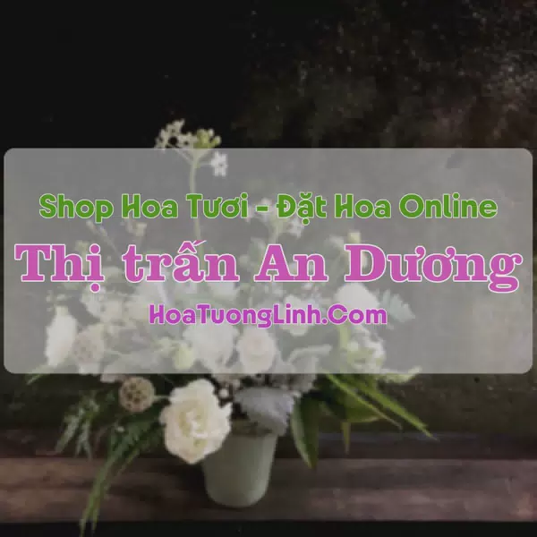 Shop Hoa Tươi Thị Trấn An Dương - Hải Phòng