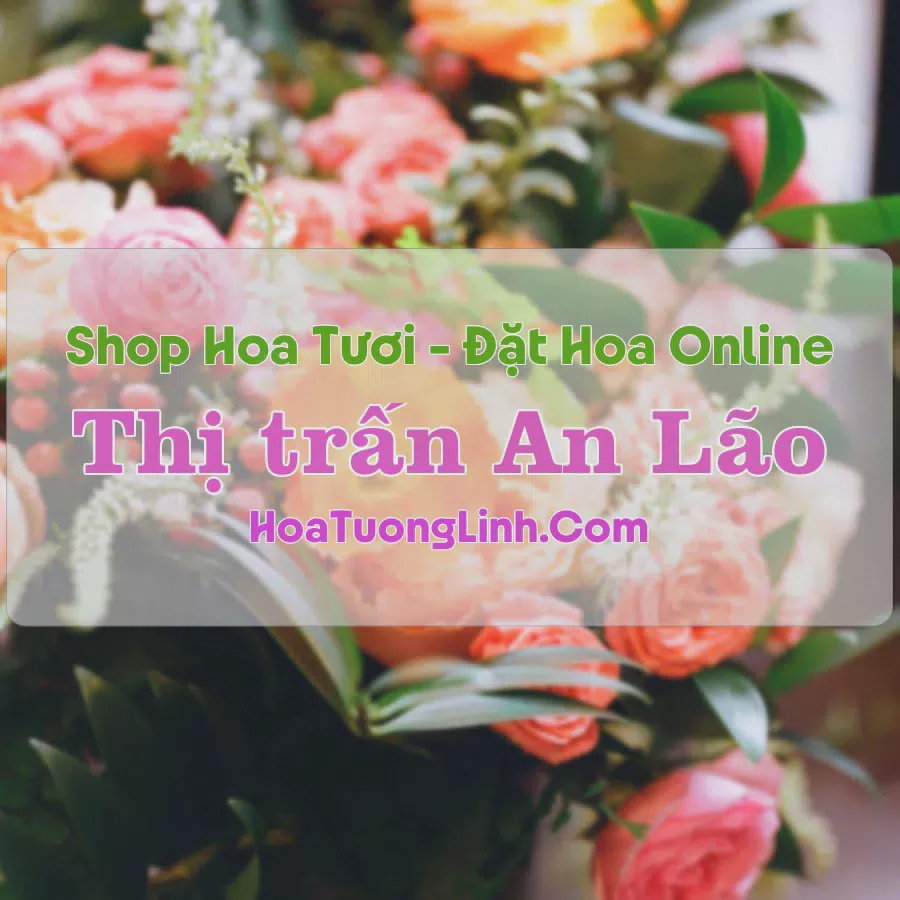 Shop Hoa Tươi Thị trấn An Lão - Bình Định