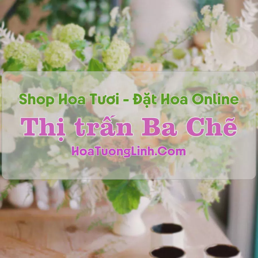 Shop Hoa Tươi Thị Trấn Ba Chẽ - Quảng Ninh
