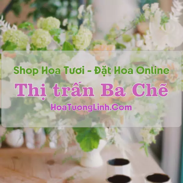 Shop Hoa Tươi Thị Trấn Ba Chẽ - Quảng Ninh