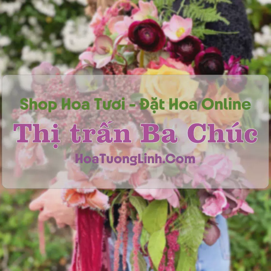 Shop Hoa Tươi Thị trấn Ba Chúc - An Giang