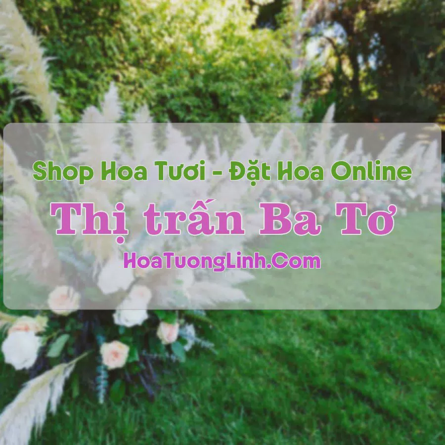 Shop Hoa Tươi Thị Trấn Ba Tơ - Quảng Ngãi
