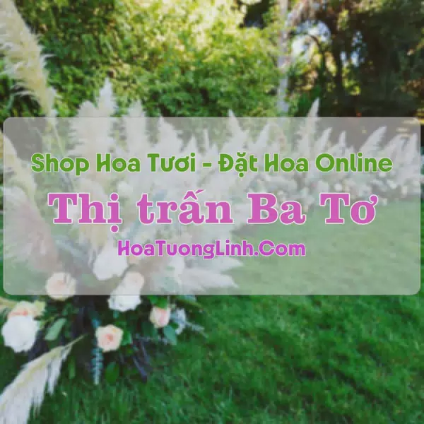 Shop Hoa Tươi Thị Trấn Ba Tơ - Quảng Ngãi