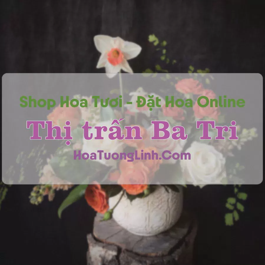 Shop Hoa Tươi Thị Trấn Ba Tri - Bến Tre